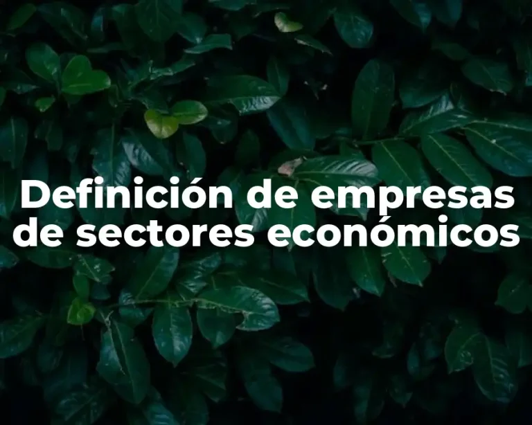 Definición de empresas de sectores económicos
