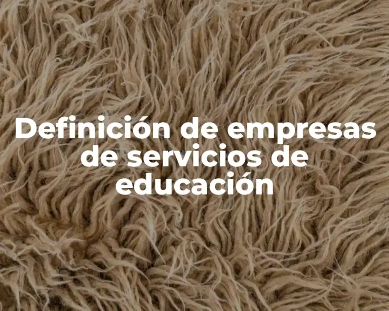 Definición de empresas de servicios de educación