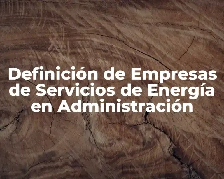 Definición de Empresas de Servicios de Energía en Administración