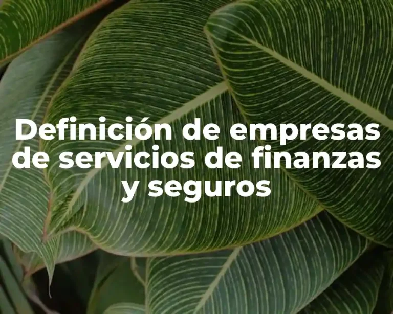 Definición de empresas de servicios de finanzas y seguros