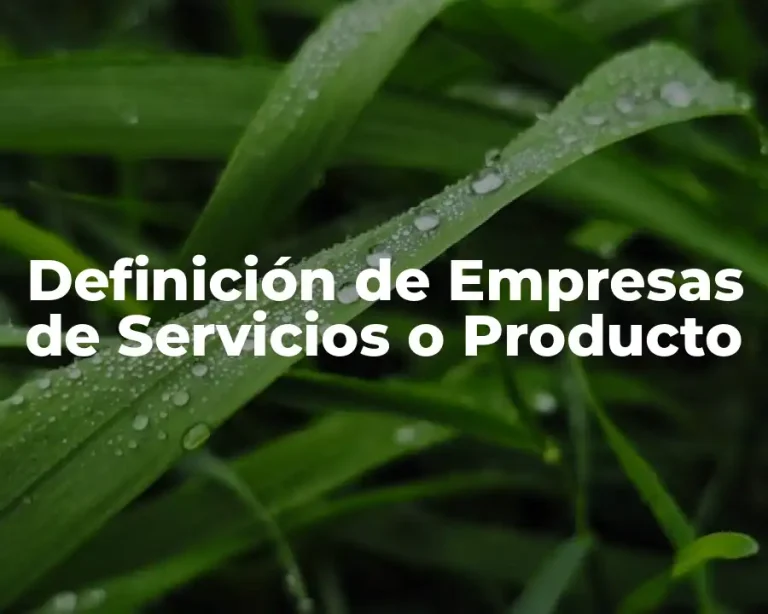 Definición de Empresas de Servicios o Producto