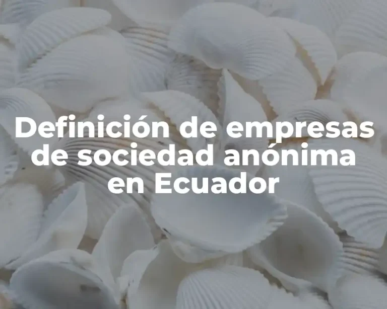 Definición de empresas de sociedad anónima en Ecuador