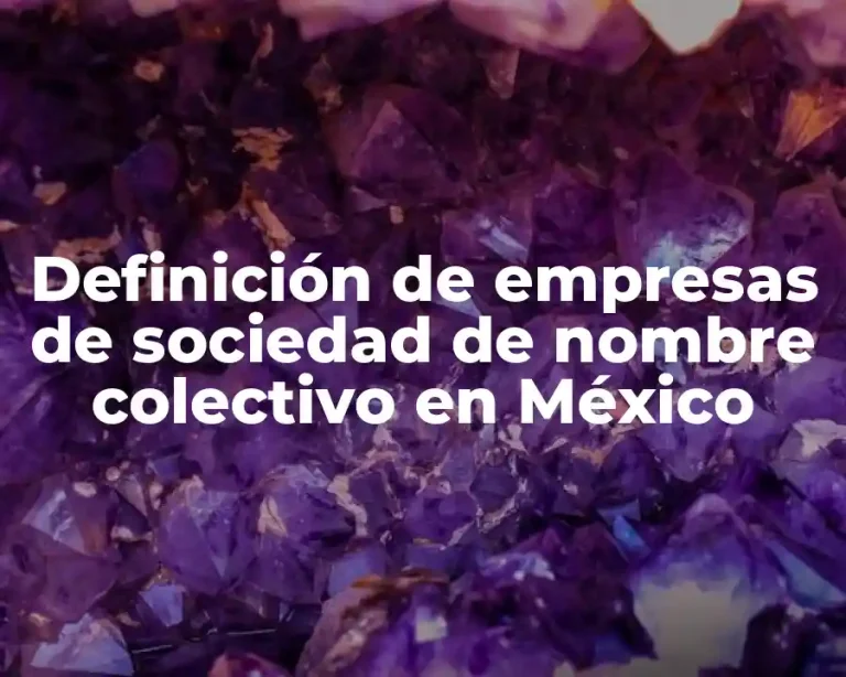 Definición de empresas de sociedad de nombre colectivo en México
