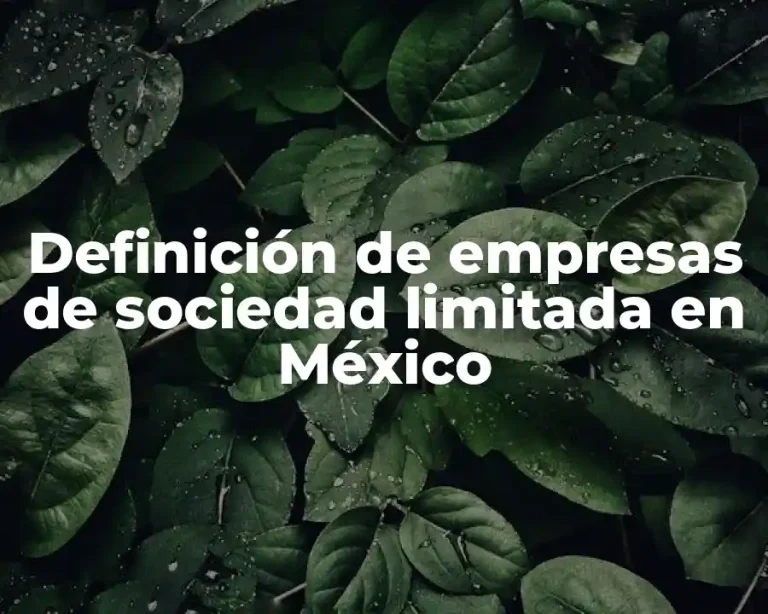 Definición de empresas de sociedad limitada en México