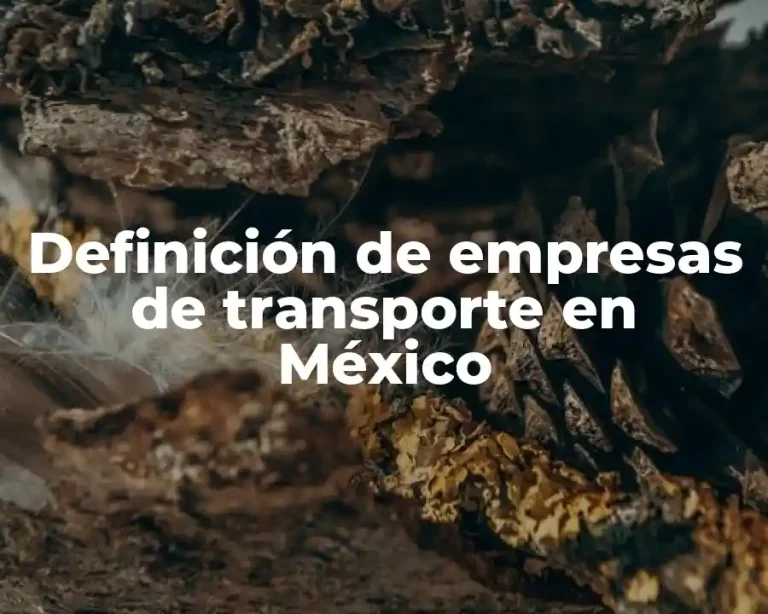 Definición de empresas de transporte en México