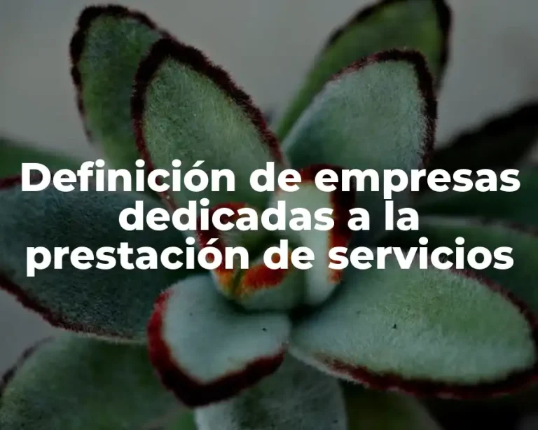 Definición de empresas dedicadas a la prestación de servicios