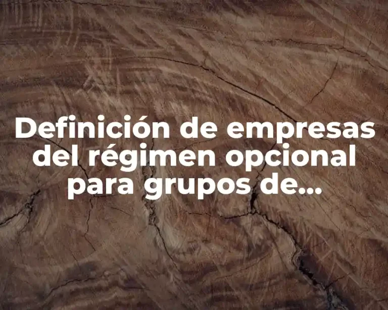 Definición de empresas del régimen opcional para grupos de sociedades