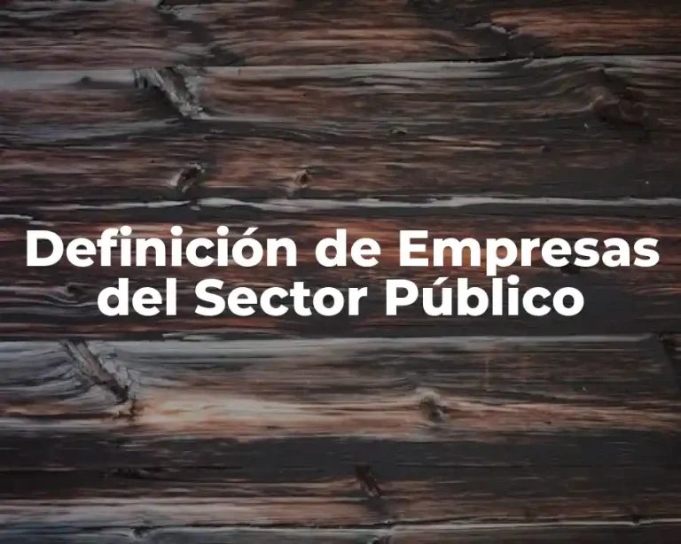 Definición de Empresas del Sector Público