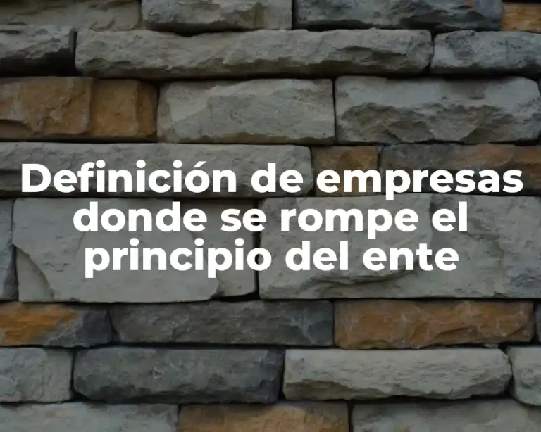 Definición de empresas donde se rompe el principio del ente