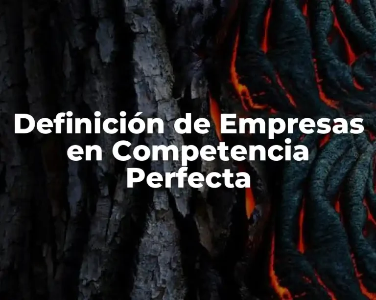 Definición de Empresas en Competencia Perfecta