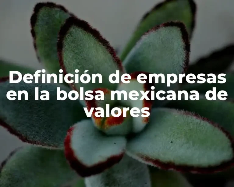 Definición de empresas en la bolsa mexicana de valores
