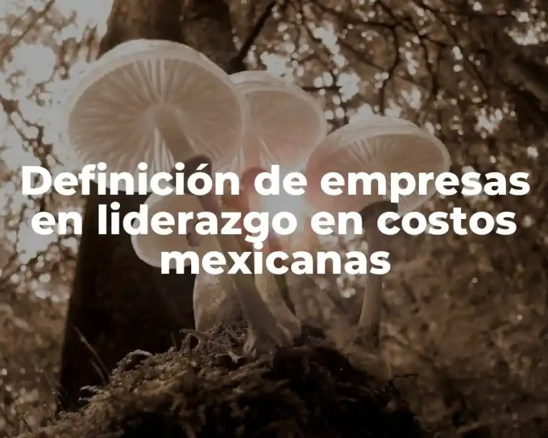 Definición de empresas en liderazgo en costos mexicanas