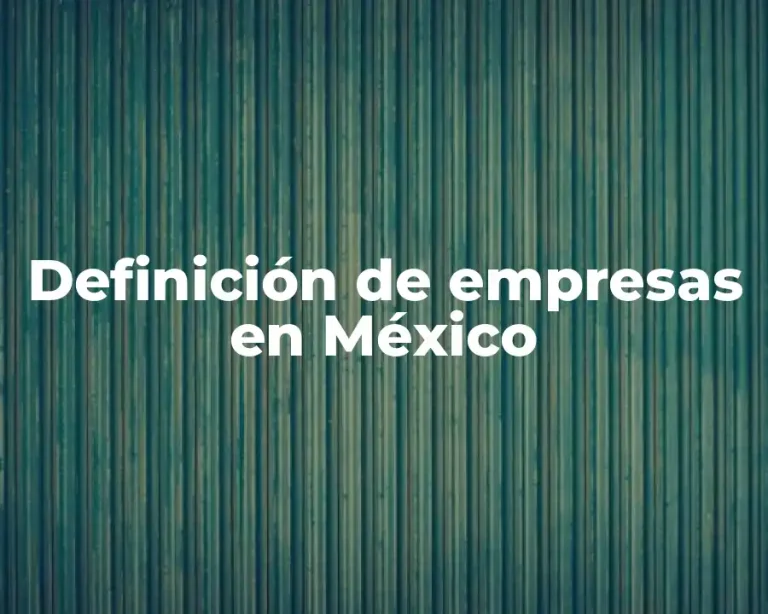 Definición de empresas en México