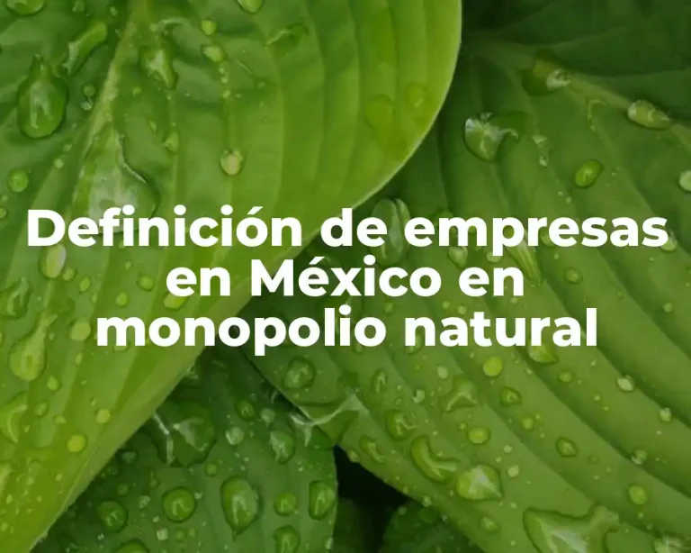 Definición de empresas en México en monopolio natural