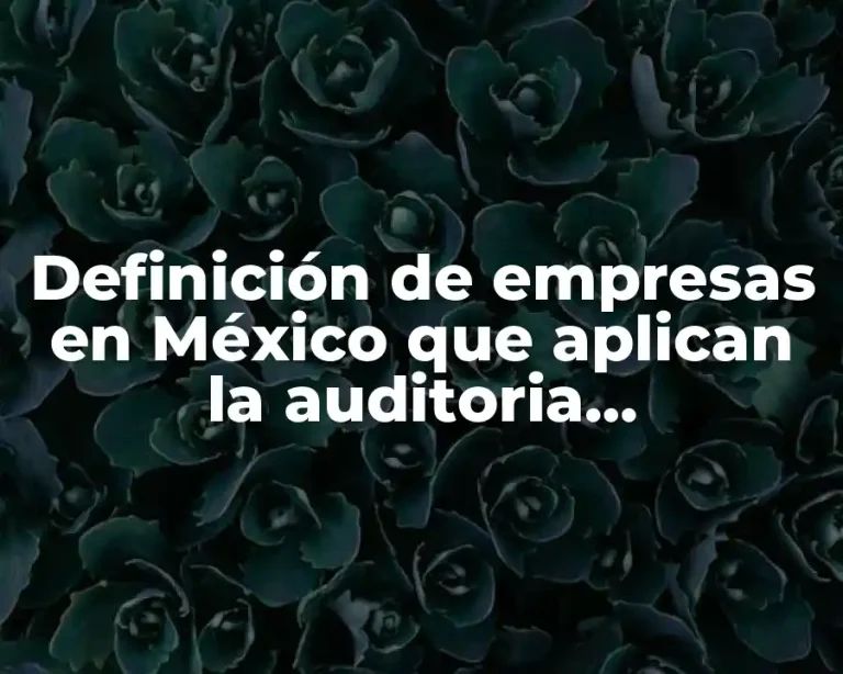 Definición de empresas en México que aplican la auditoria administrativa