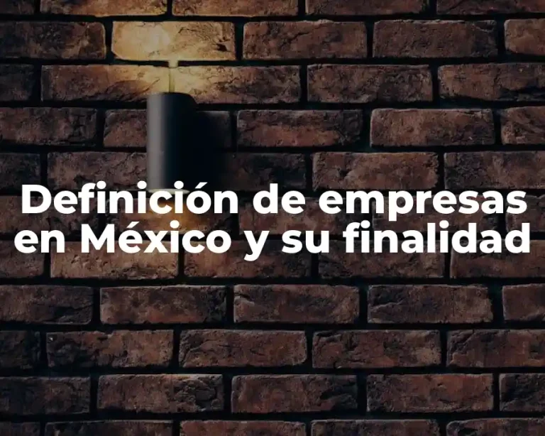 Definición de empresas en México y su finalidad