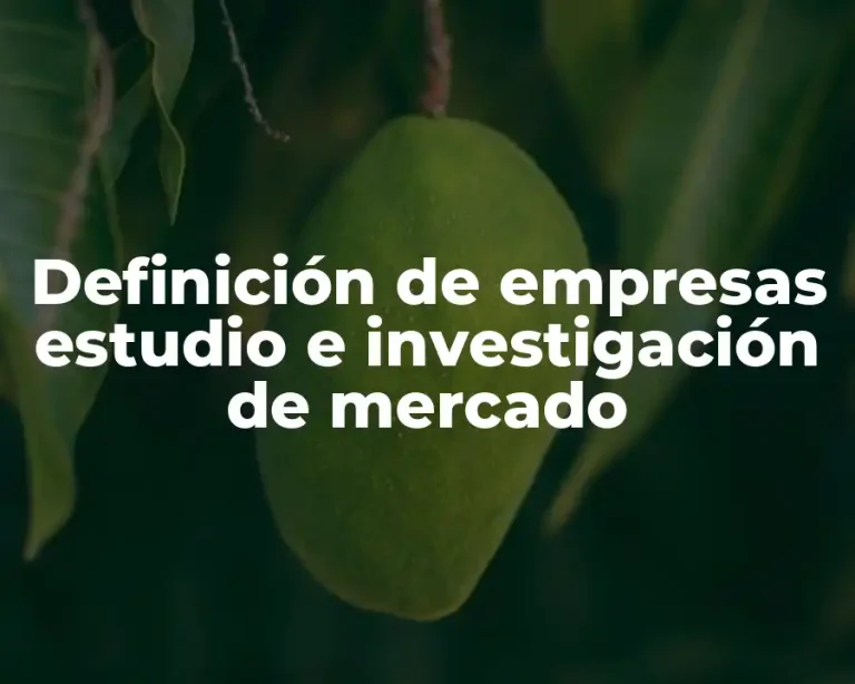 Definición de empresas estudio e investigación de mercado