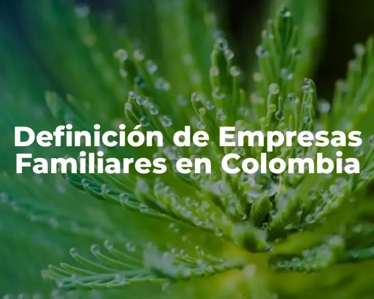Definición de Empresas Familiares en Colombia