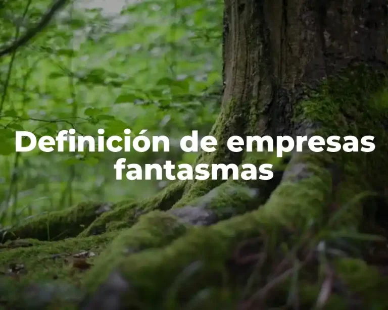 Definición de empresas fantasmas