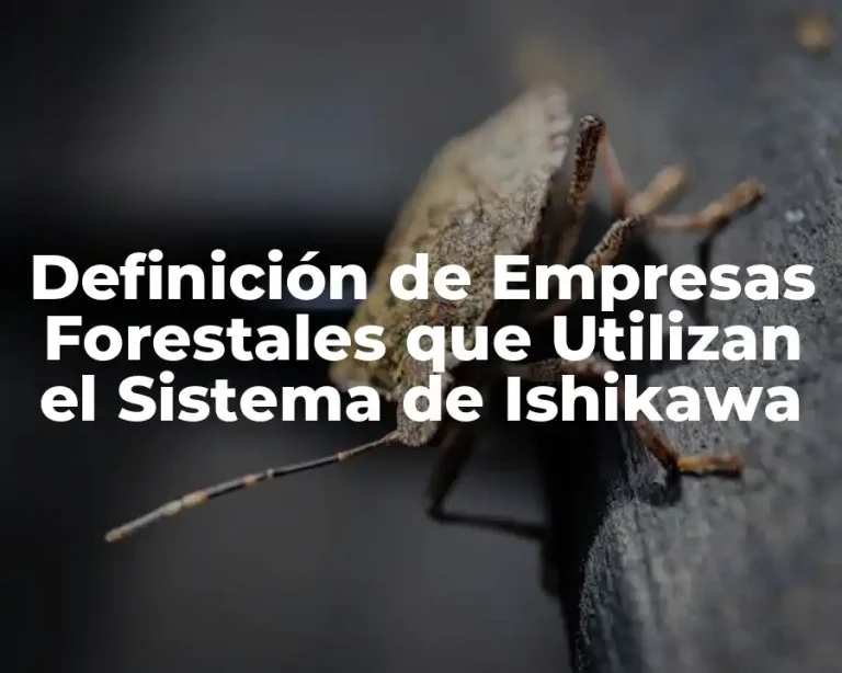 Definición de Empresas Forestales que Utilizan el Sistema de Ishikawa