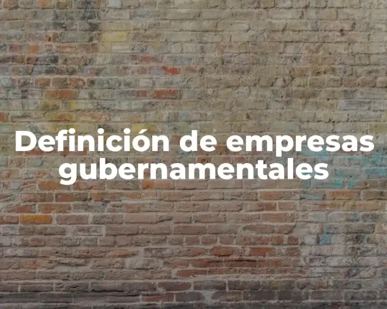 Definición de empresas gubernamentales
