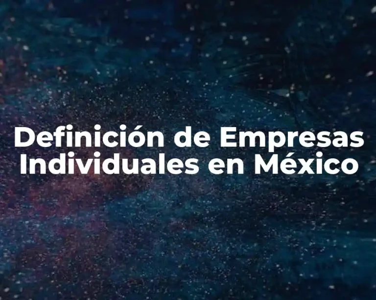 Definición de Empresas Individuales en México