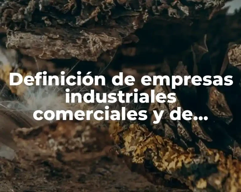 Definición de empresas industriales comerciales y de servicios