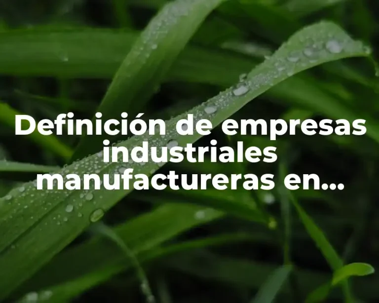 Definición de empresas industriales manufactureras en México