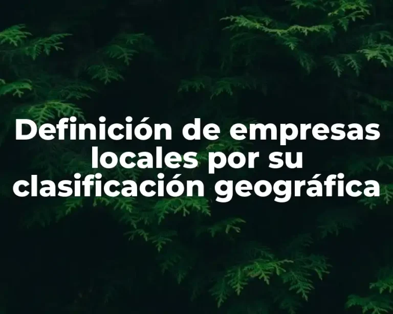Definición de empresas locales por su clasificación geográfica