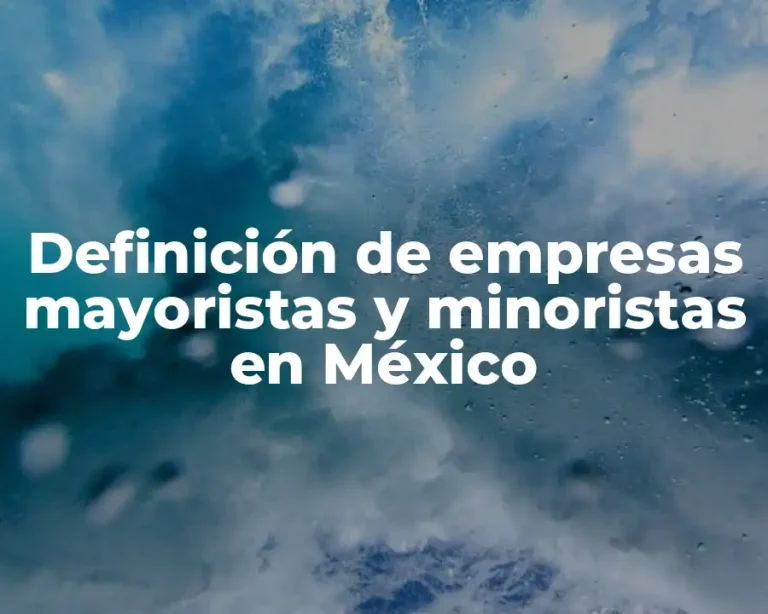 Definición de empresas mayoristas y minoristas en México