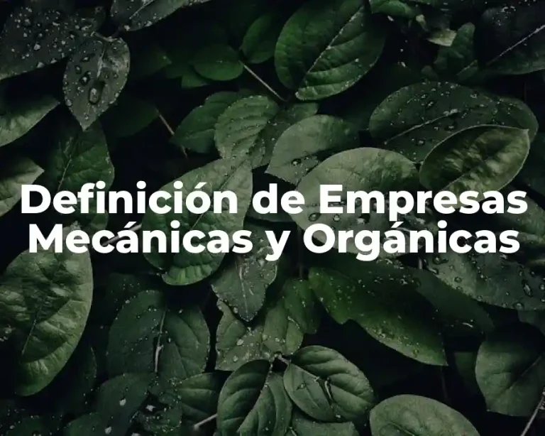 Definición de Empresas Mecánicas y Orgánicas