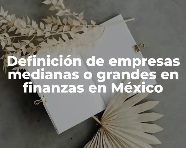 Definición de empresas medianas o grandes en finanzas en México