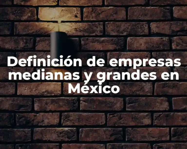 Definición de empresas medianas y grandes en México