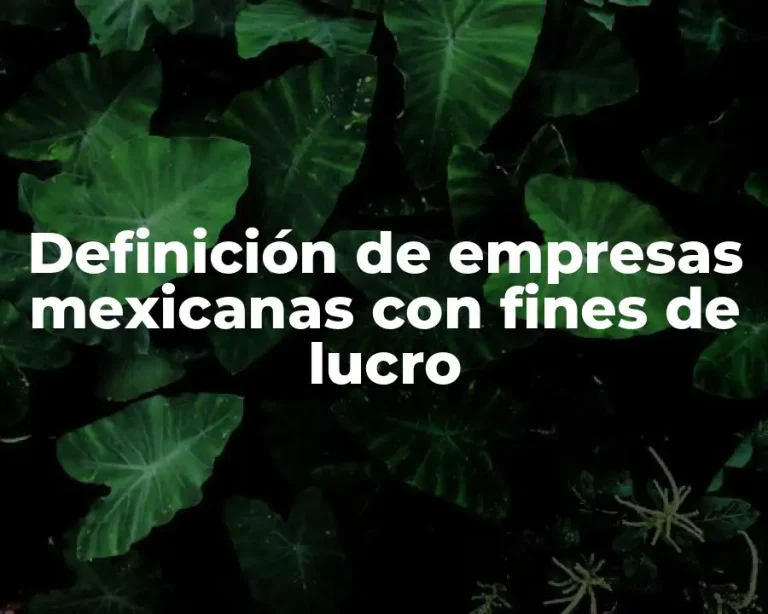 Definición de empresas mexicanas con fines de lucro