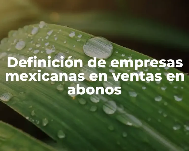 Definición de empresas mexicanas en ventas en abonos