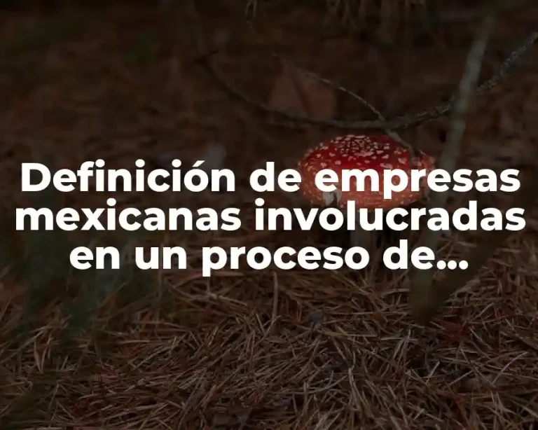 Definición de empresas mexicanas involucradas en un proceso de escisión