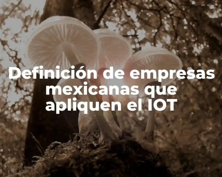 Definición de empresas mexicanas que apliquen el IOT
