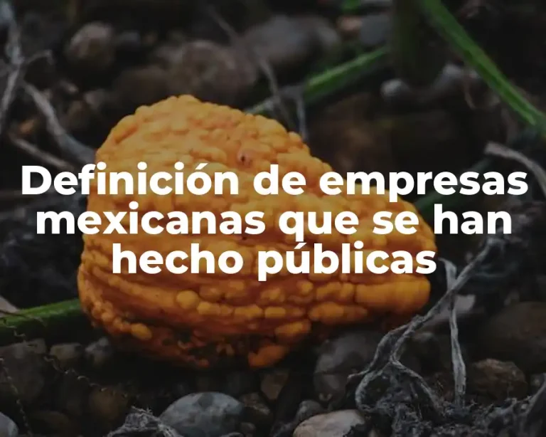 Definición de empresas mexicanas que se han hecho públicas