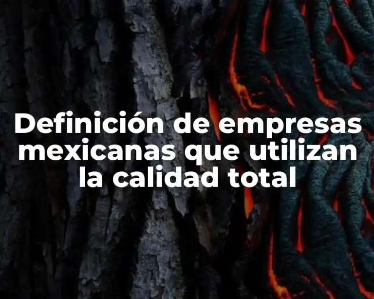 Definición de empresas mexicanas que utilizan la calidad total