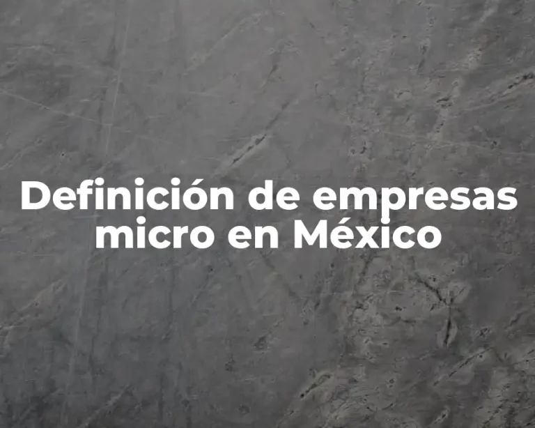 Definición de empresas micro en México