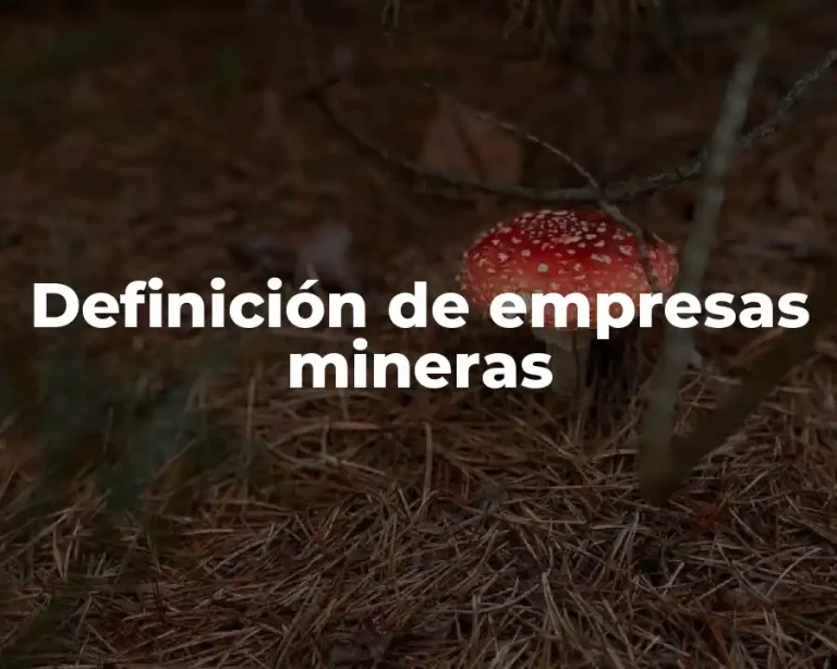 Definición de empresas mineras