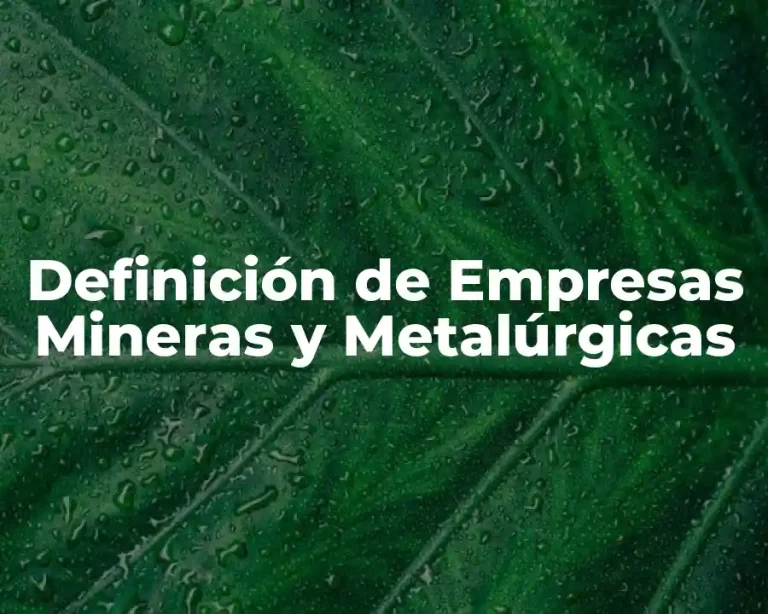 Definición de Empresas Mineras y Metalúrgicas
