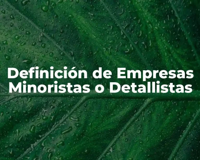 Definición de Empresas Minoristas o Detallistas