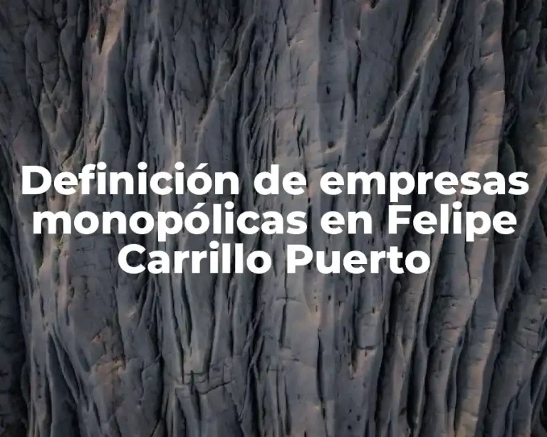 Definición de empresas monopólicas en Felipe Carrillo Puerto