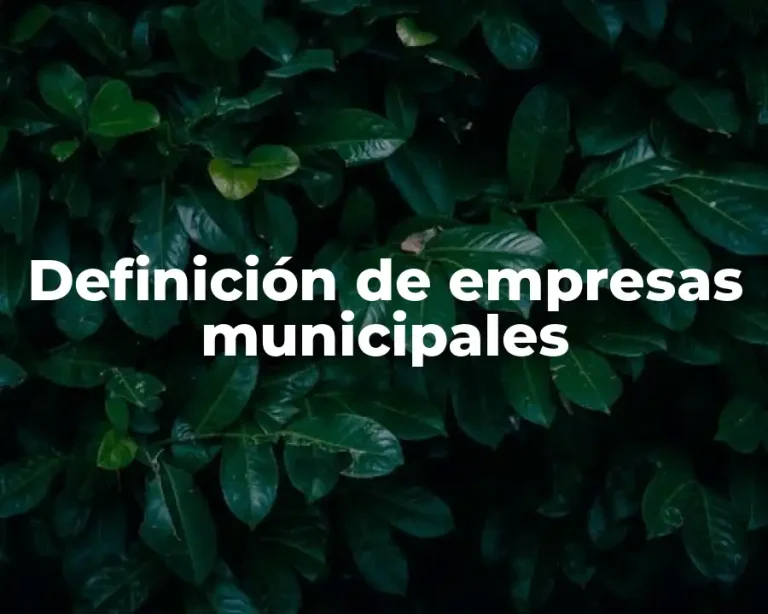 Definición de empresas municipales
