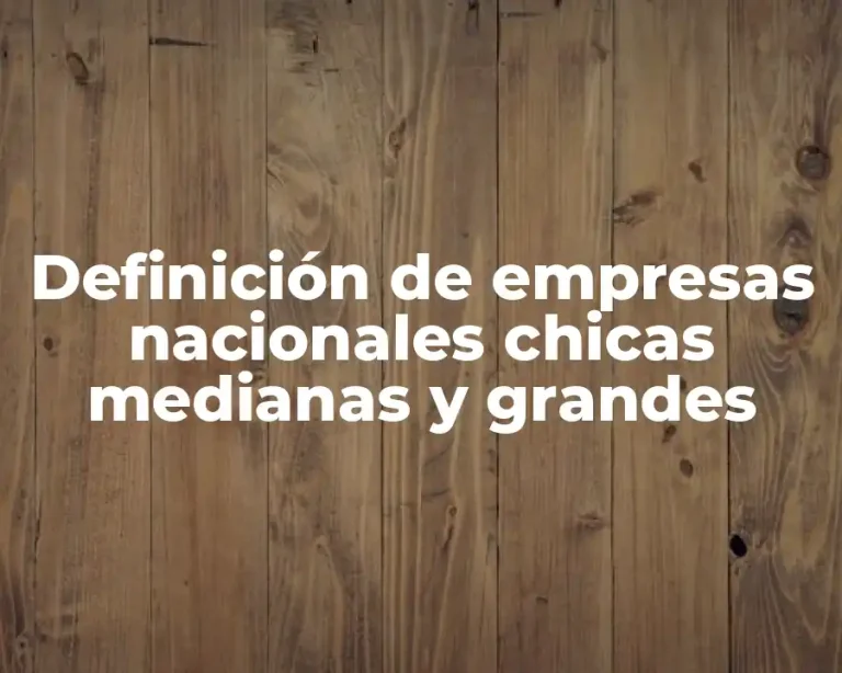 Definición de empresas nacionales chicas medianas y grandes