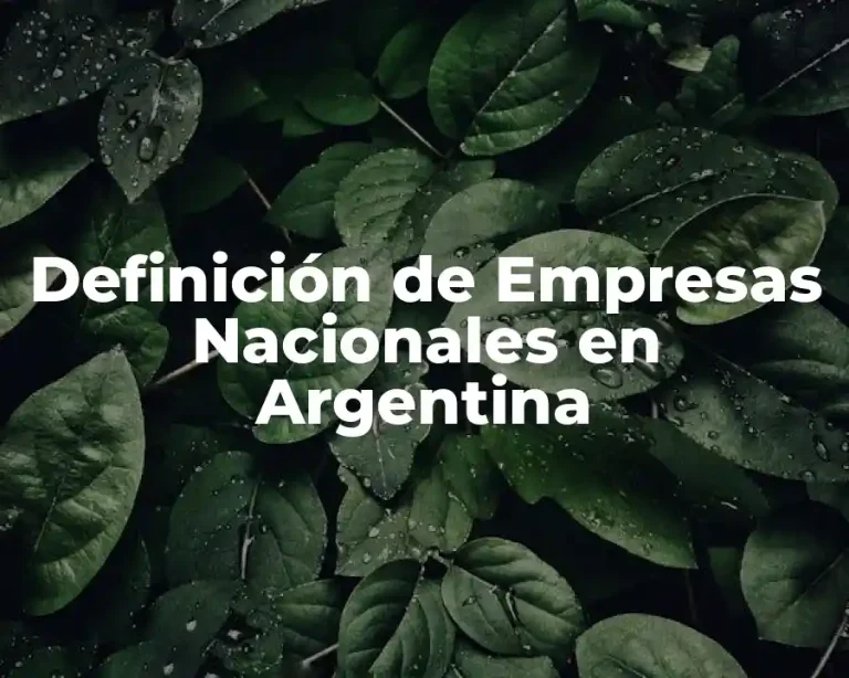 Definición de Empresas Nacionales en Argentina