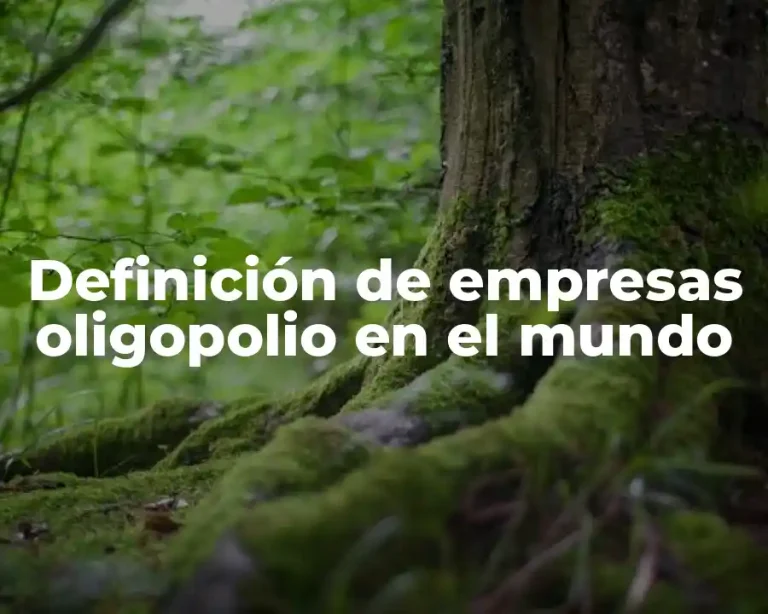 Definición de empresas oligopolio en el mundo