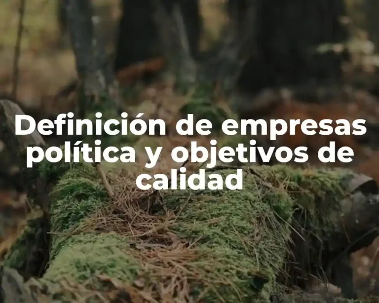 Definición de empresas política y objetivos de calidad