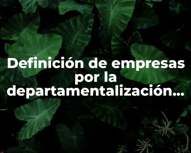 Definición de empresas por la departamentalización por clientes